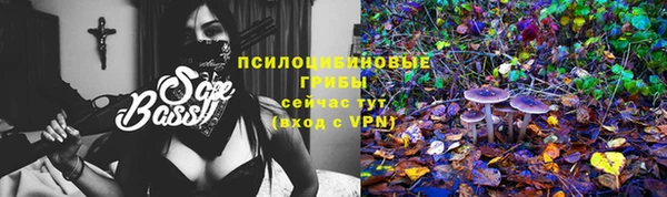 дживик Алзамай