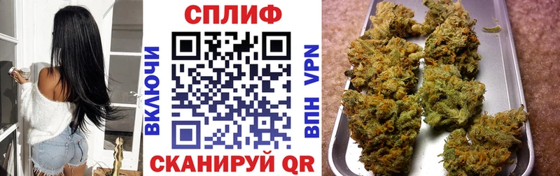 купить   Бологое  площадка как зайти  Бошки марихуана ГИДРОПОН 